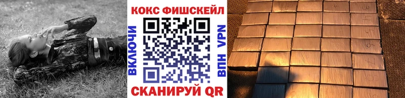 Кокаин FishScale  Купить  Козьмодемьянск 