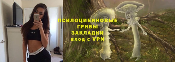 мдпв Володарск