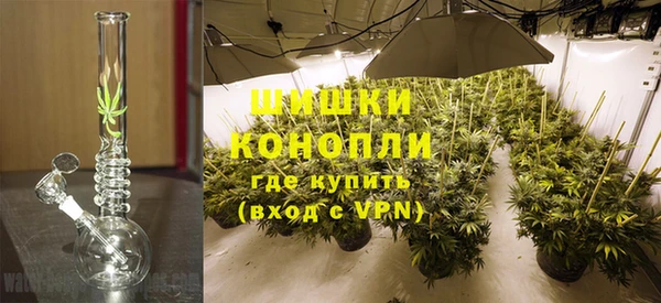 ПСИЛОЦИБИНОВЫЕ ГРИБЫ Волоколамск