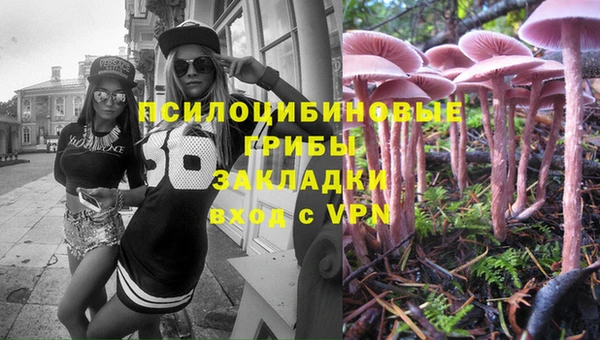 ПСИЛОЦИБИНОВЫЕ ГРИБЫ Волоколамск