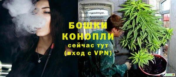 ПСИЛОЦИБИНОВЫЕ ГРИБЫ Волоколамск