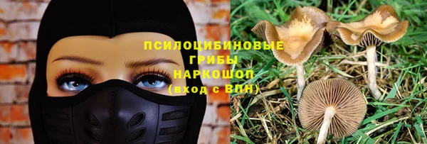 ПСИЛОЦИБИНОВЫЕ ГРИБЫ Волоколамск