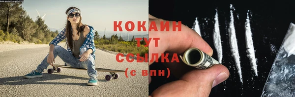 мдпв Володарск