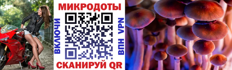 Псилоцибиновые грибы Magic Shrooms  Купить где  Козьмодемьянск 